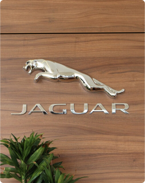 logo jaguar pared oficina